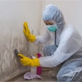 Beyond The Surface: How Mold Remediation Service Safeguards Kitchen Cabinets In South Salt Lake, UT