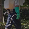 Pest Control Solutions In Ladson That Target Kitchen Cabinet Infestations