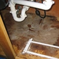 Don’t Risk Your Health: Let Will County Pros Handle Mold In Your Kitchen Cabinets