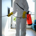 The Importance Of Professional Mold Remediation For Residential Kitchen Cabinets In Philadelphia