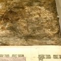 Signs Of Water Damage In Tri-Cities Kitchen Cabinets: What To Look For