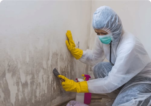 Beyond The Surface: How Mold Remediation Service Safeguards Kitchen Cabinets In South Salt Lake, UT
