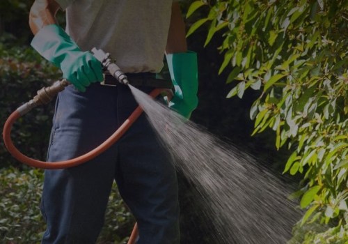 Pest Control Solutions In Ladson That Target Kitchen Cabinet Infestations