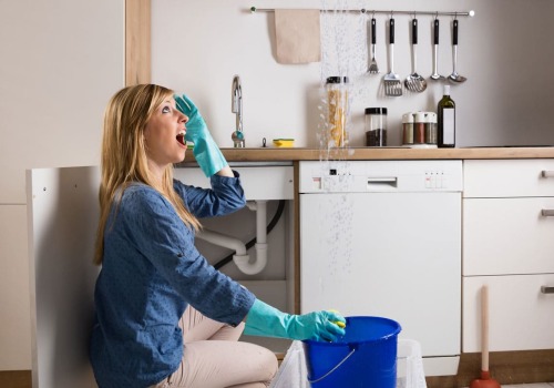 Preventing Water Damage: The Importance Of An Arlington, TX, Plumber For Kitchen Cabinets