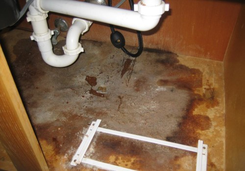 Don’t Risk Your Health: Let Will County Pros Handle Mold In Your Kitchen Cabinets